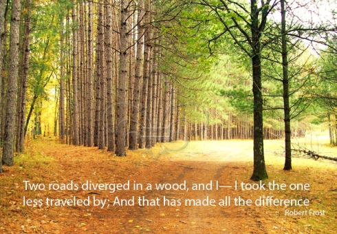 two_roads_in_a_yellow_wood_ Robert Frost